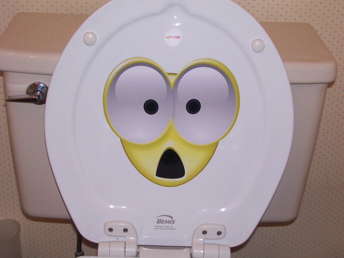 toilet potty Smiley Full color Graphic Decal