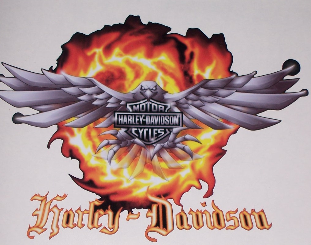 Harley Davidson Eagle Flames FULL COLOR trailer or Wall 25 X 36 Decal Sticker