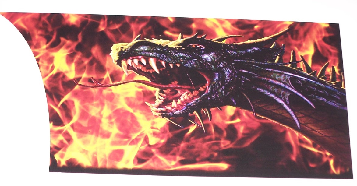 DRAGON Flame Rear panel Drag Racing Burnout guard Chip Graphic Decals