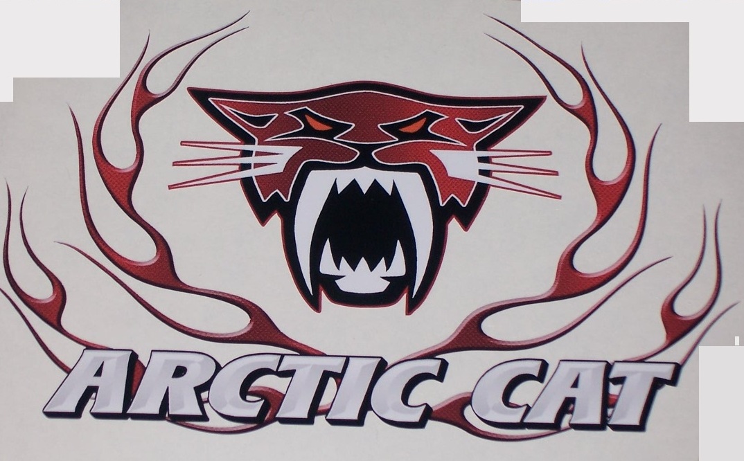 Arctic Cat Flame FULL COLOR RED Carbon Fiber 9.5X7 Window or trailer Decal