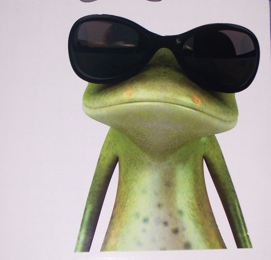 Sun Glass's Frog 7" x 9.5" Full color HOOD tailgate Graphic Window Decal