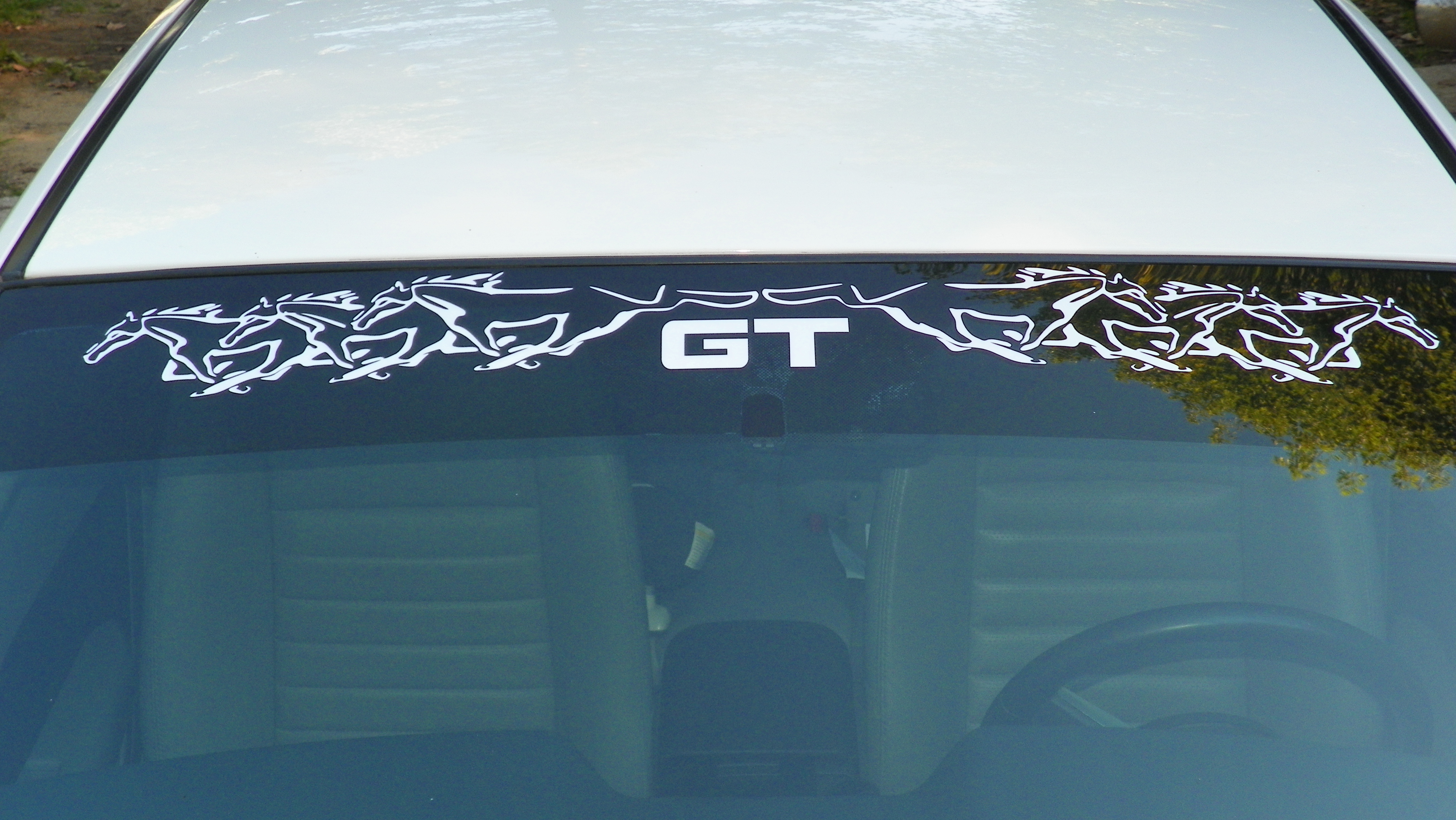 At Superb Graphics, we specialize in Custom decals ...