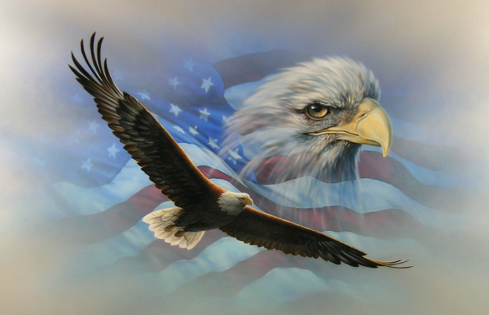American Flag Soaring Bald EagleWall RV motorhome Or Trailer Graphic Decal