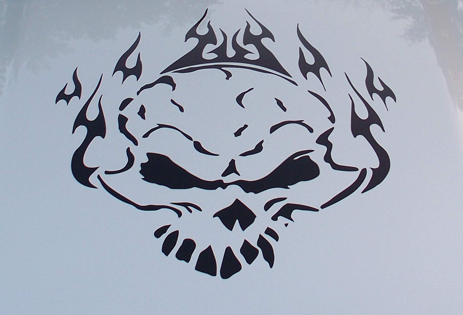 LARGE Skull Flames Hood / Window graphic Decal / Sticker