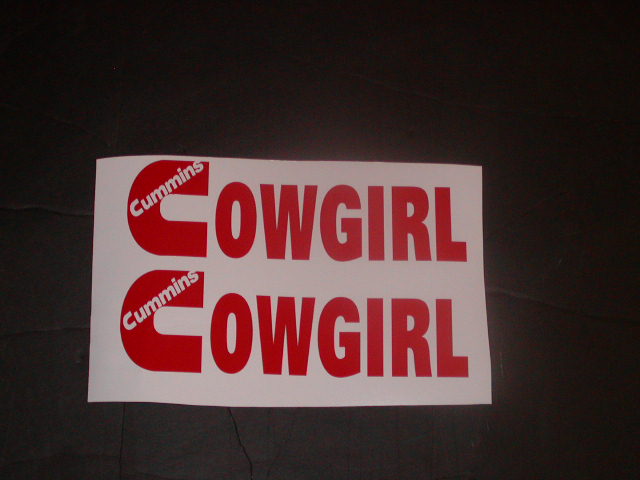 Pair of Diesel C Cowgirl logo Window Decals