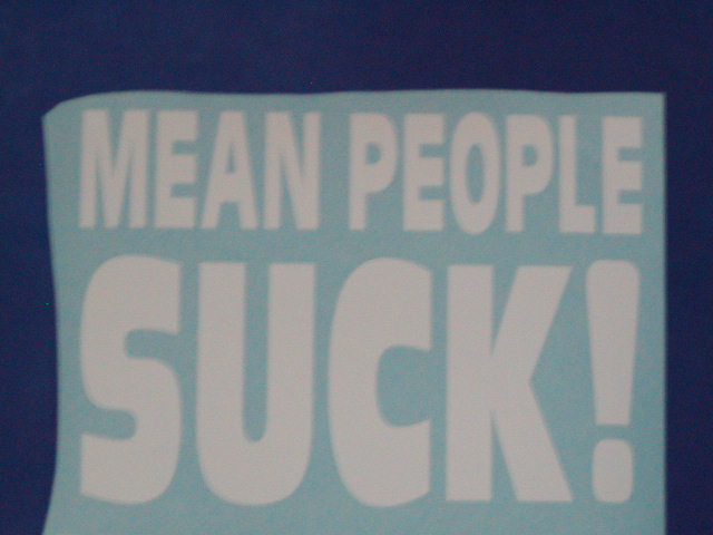 MEAN PEOPLE SUCK!! Decal