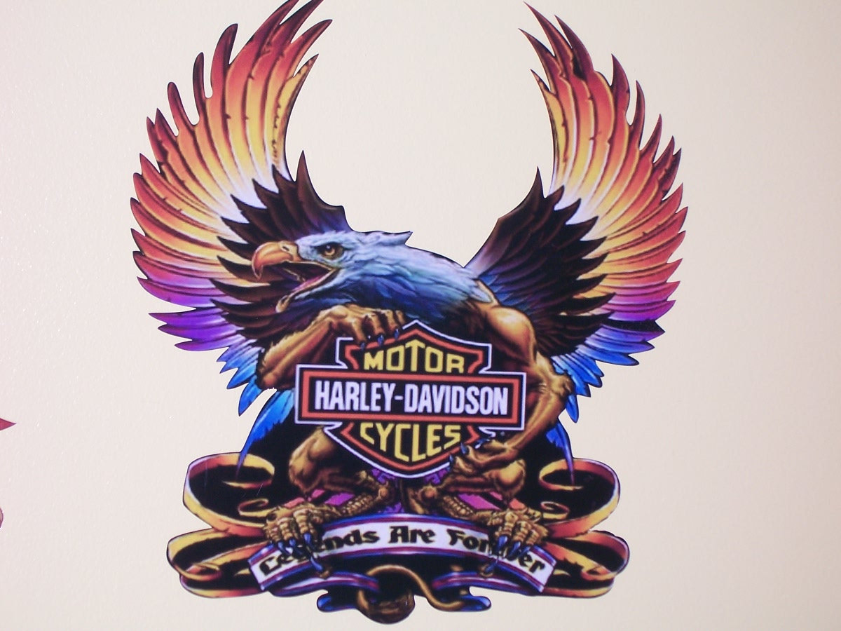 Harley Davidson Eagle Legends FULL COLOR Window 14" x 12" Decal Sticker