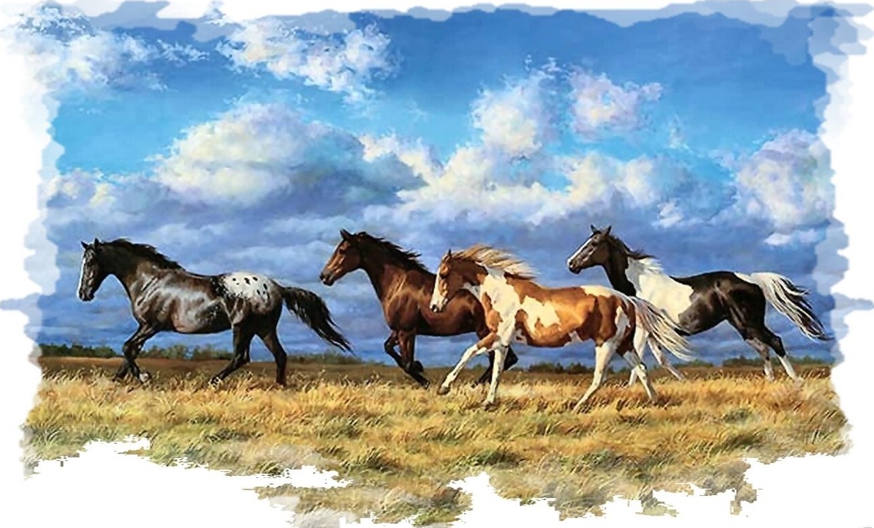 Horse Stallion Mustang #2 Wall RV motorhome Or Trailer Graphic Decal