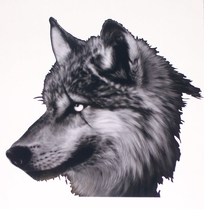 Wolf Head Full color Window Decal Sticker Graphics Decals Stickers 9.5\" X 9\"